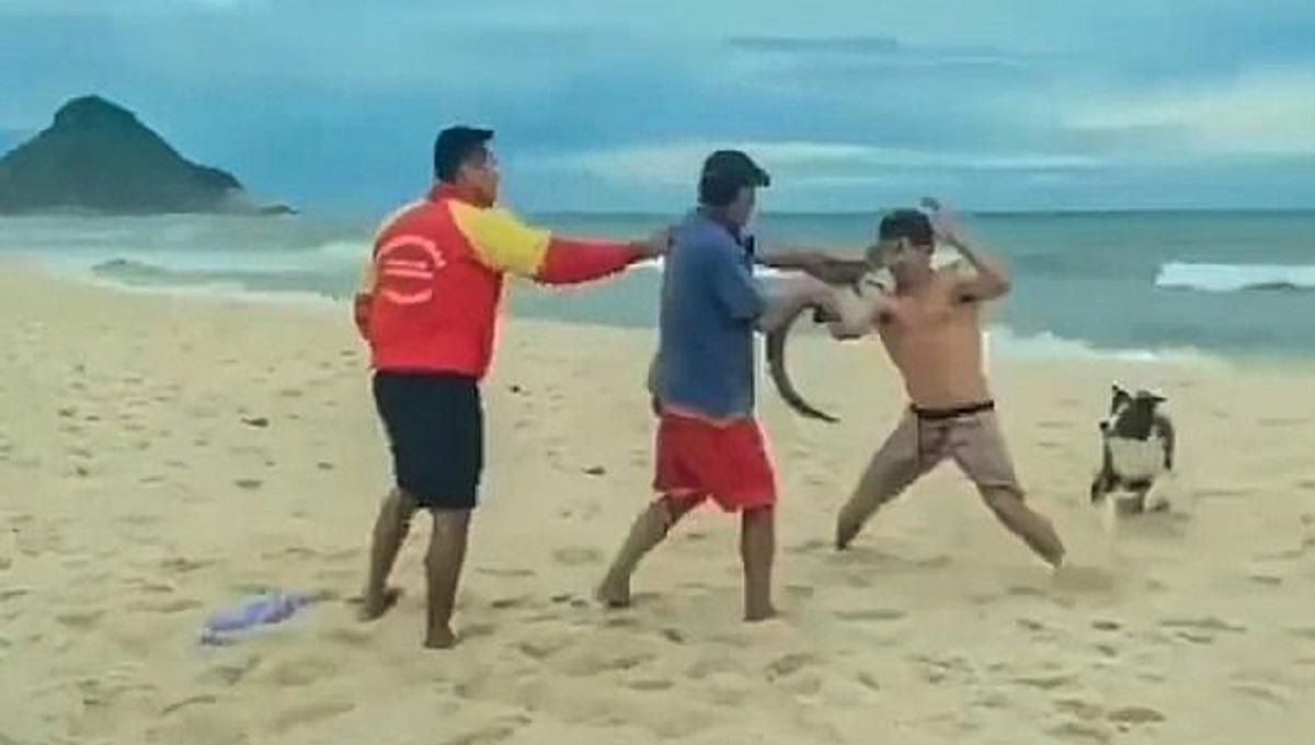 Мужчина использовал крокодила как необычное оружие во время драки на пляже: странное видео
