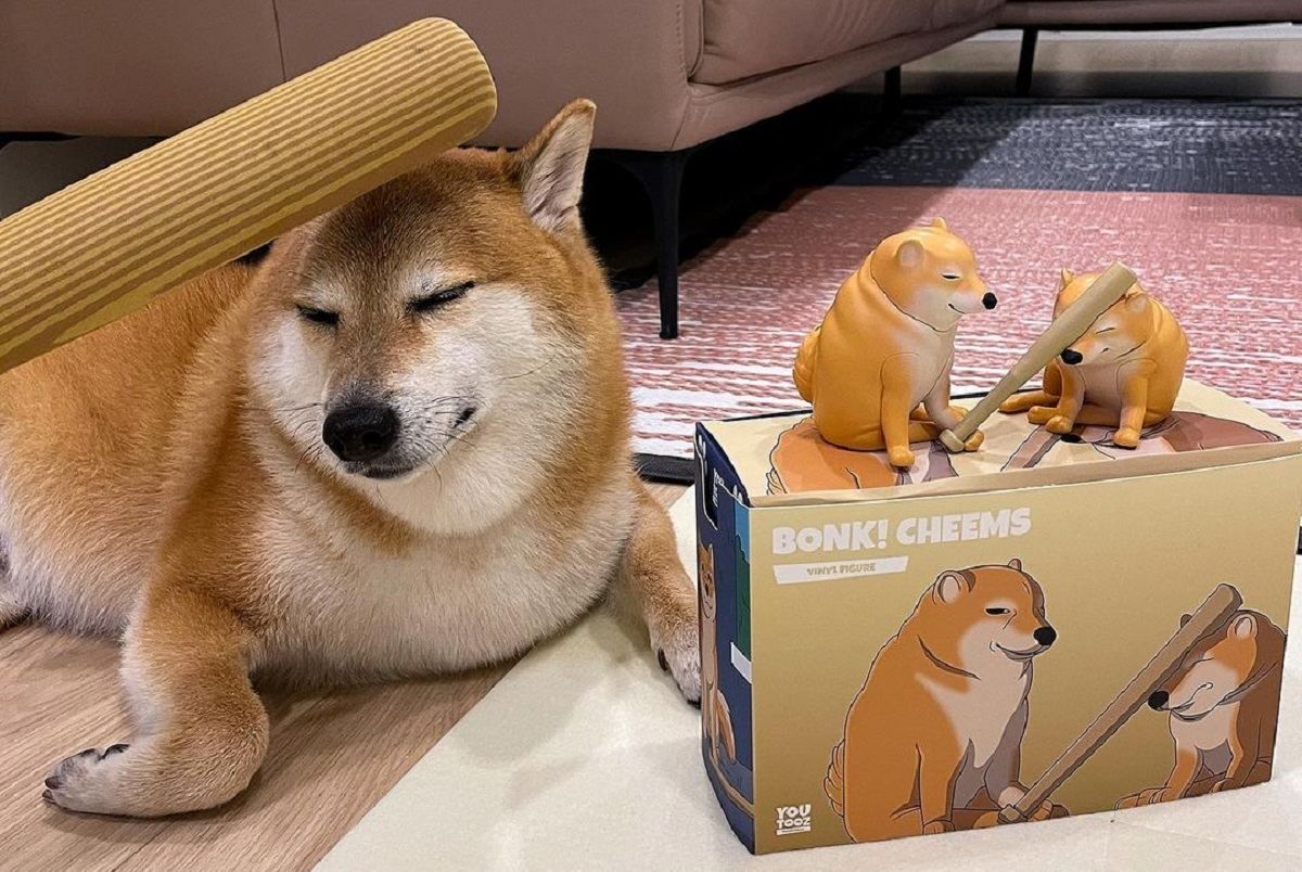 Хозяйка Чимса выпустила игрушку с собакой из популярного мема "Go To Horny Jail" Хозяйка Чимса выпустила игрушку с собакой из популярного мема "Go To Horny Jail"