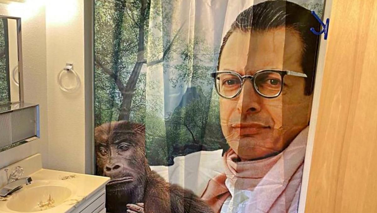 15 кумедних шторок для ванни, які покращують настрій щоранку - Розваги 15 кумедних шторок для ванни, які покращують настрій щоранку - Розваги