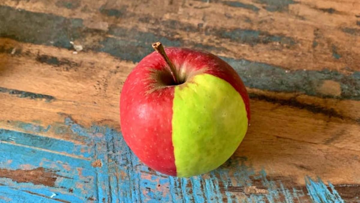 15 интересных вещей и явлений, которые очень удивили людей в интернете - Развлечения 15 интересных вещей и явлений, которые очень удивили людей в интернете - Развлечения