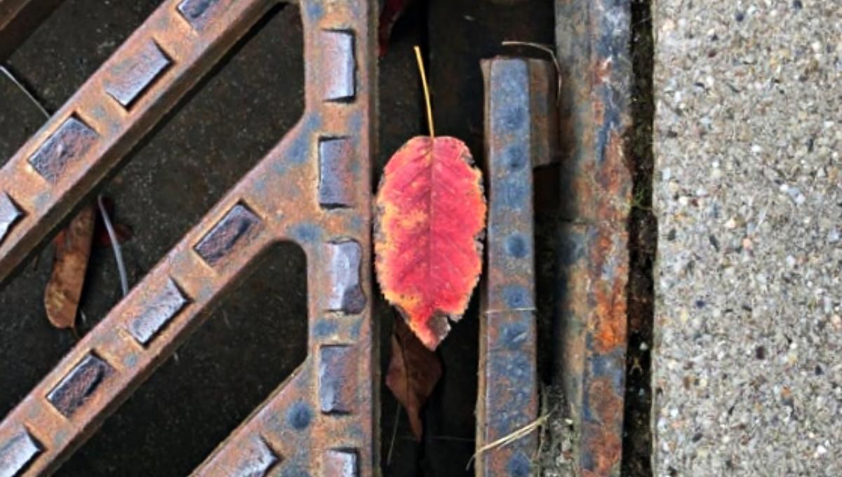 Спеціально для перфекціоністів: 15 випадків, коли речі ідеально пасували один одному - Розваги Спеціально для перфекціоністів: 15 випадків, коли речі ідеально пасували один одному - Розваги