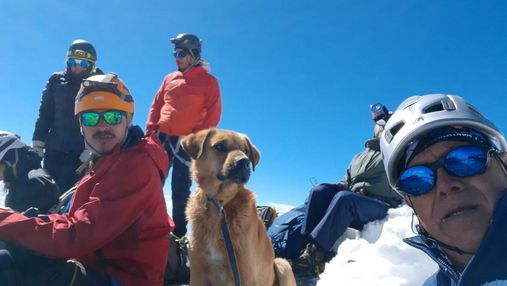 Неймовірний порятунок: альпіністи піднялися на найвищий пік Мексики заради бездомного пса
