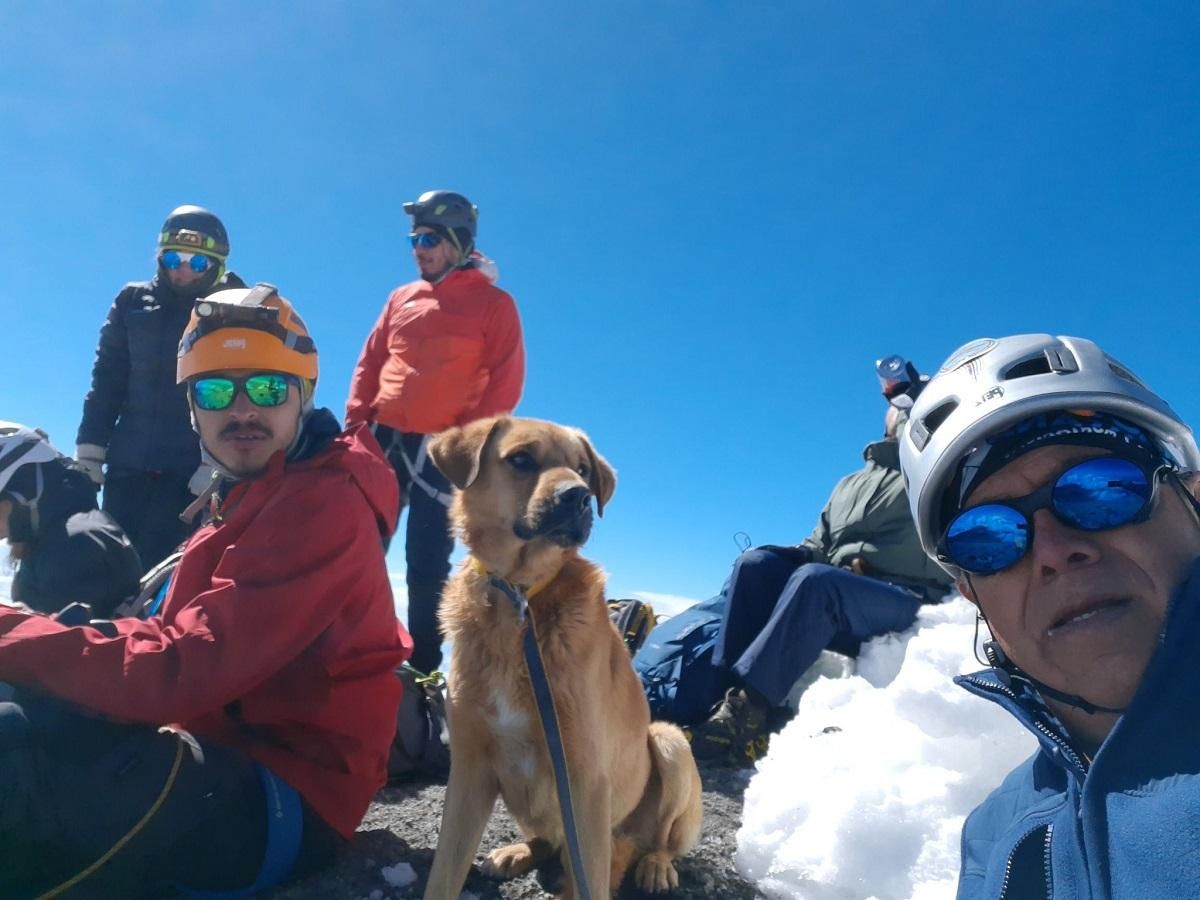 Неймовірний порятунок: альпіністи піднялися на найвищий пік Мексики заради бездомного пса