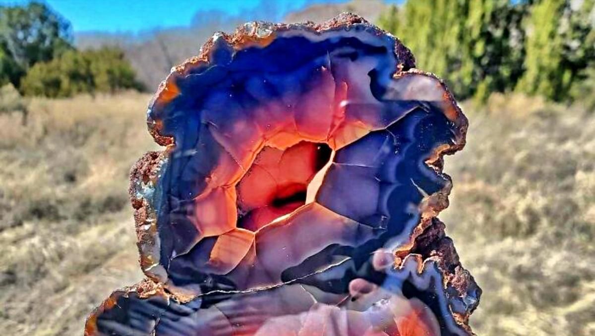 Без фотошопу: 15 разів, коли люди помітили дивовижні природні явища і поділилися цим в інтернеті - Розваги Без фотошопу: 15 разів, коли люди помітили дивовижні природні явища і поділилися цим в інтернеті - Розваги