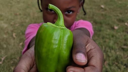 6-річна дівчинка стала наймолодшою сертифікованою фермеркою: фото малої професіоналки