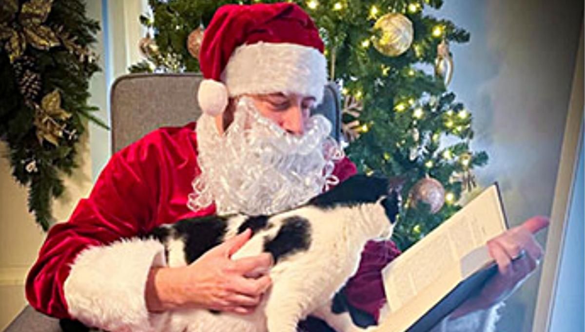 Веселих свят: 12 разів, коли люди підійшли до Нового року та Різдва з гумором - Розваги Веселих свят: 12 разів, коли люди підійшли до Нового року та Різдва з гумором - Розваги