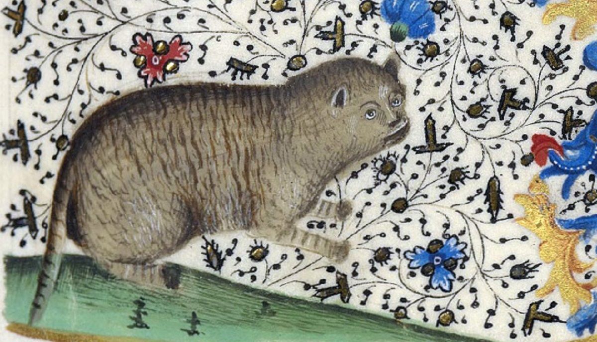 Це точно котики: як зображали домашніх улюбленців на середньовічних картинах – кумедна добірка 