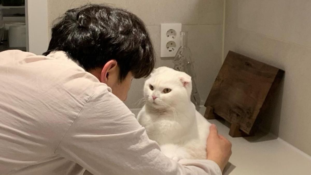 Когда это закончится: котик, который не любит обниматься, стал звездой сети - Развлечения Когда это закончится: котик, который не любит обниматься, стал звездой сети - Развлечения