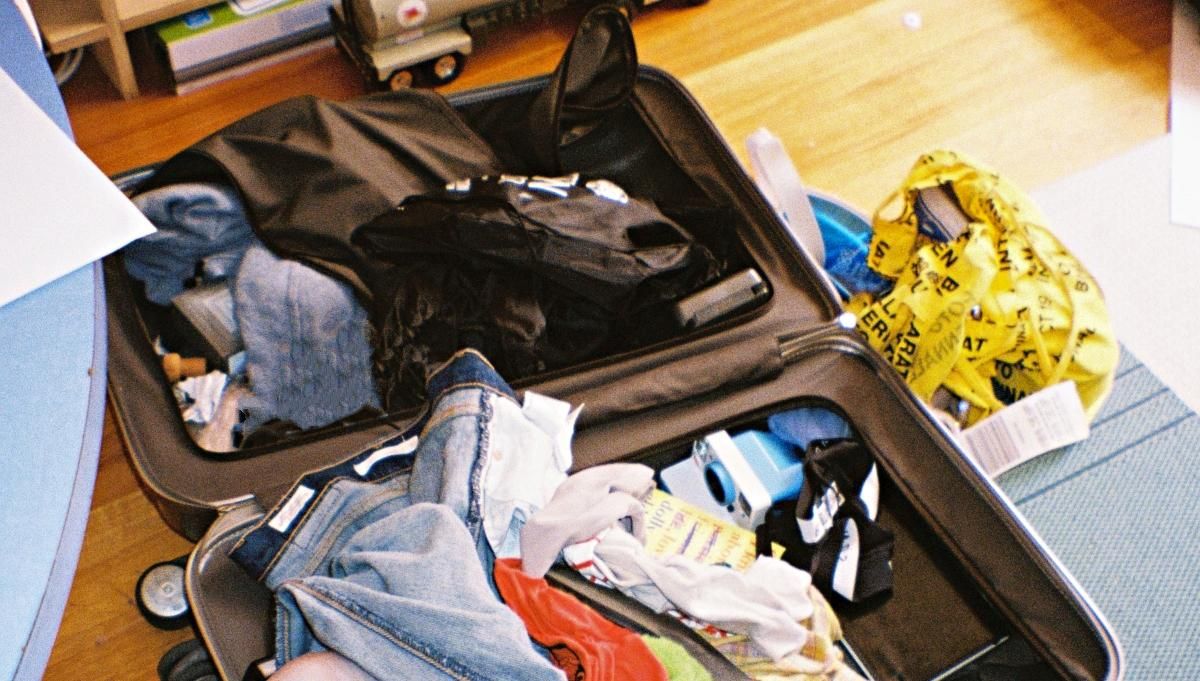 Опасный сувенир: туристы случайно привезли из отпуска живого скорпиона - Развлечения Опасный сувенир: туристы случайно привезли из отпуска живого скорпиона - Развлечения