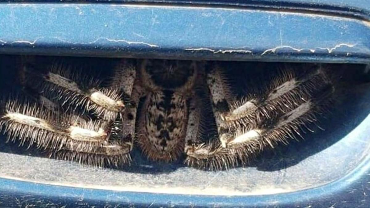 День не задався: 13 людей, з якими сталися прикрі, але дуже кумедні неприємності - Розваги День не задався: 13 людей, з якими сталися прикрі, але дуже кумедні неприємності - Розваги