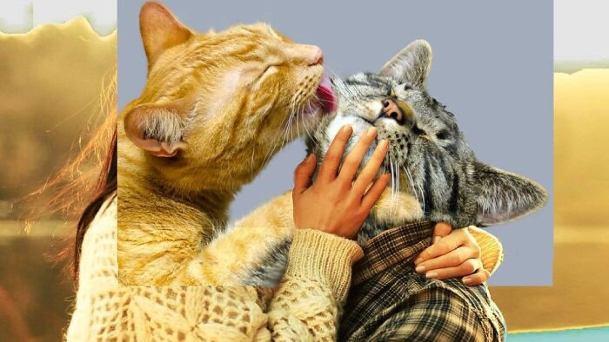 Автор любить експериментувати Автор любить експериментувати