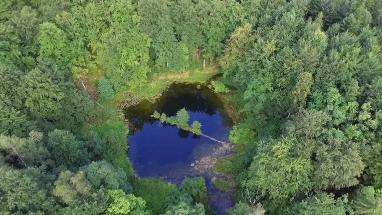 Літній відпочинок у Карпатах,туристи у карпатах,українські карпати