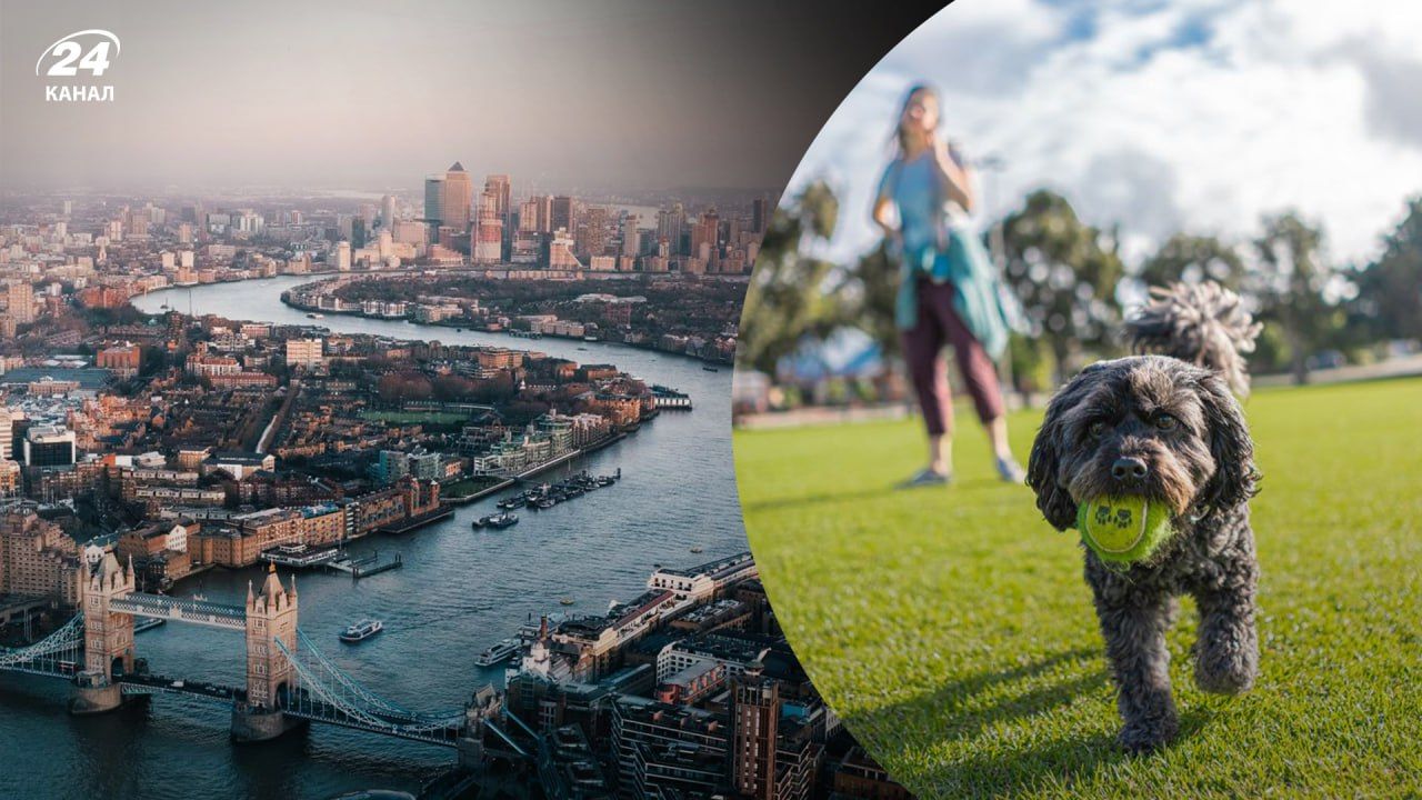 У Лондоні мільярдери шукають няню для собак