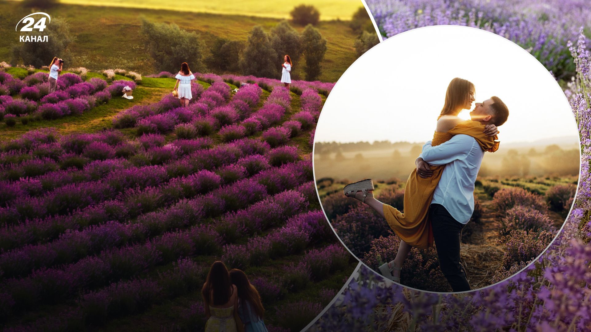 Лавандовый парк на Киевщине начал работу – стоимость входа и график работы Лавандовый парк на Киевщине начал работу – стоимость входа и график работы