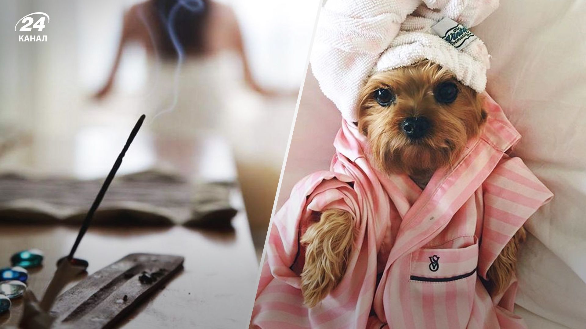 Пассивный отдых на выходных – чем заняться Пассивный отдых на выходных – чем заняться