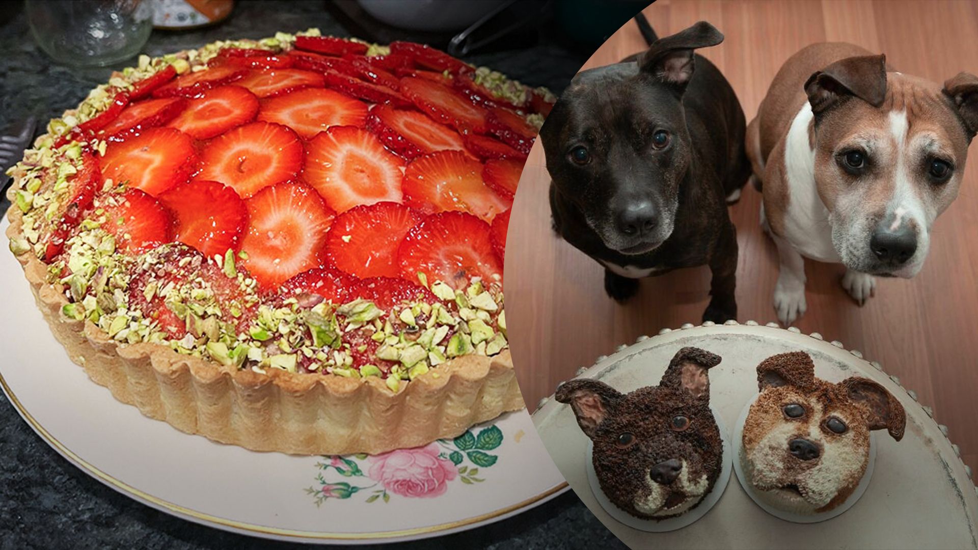 У мережі показали речі, що є кращими за очікування – фото У мережі показали речі, що є кращими за очікування – фото