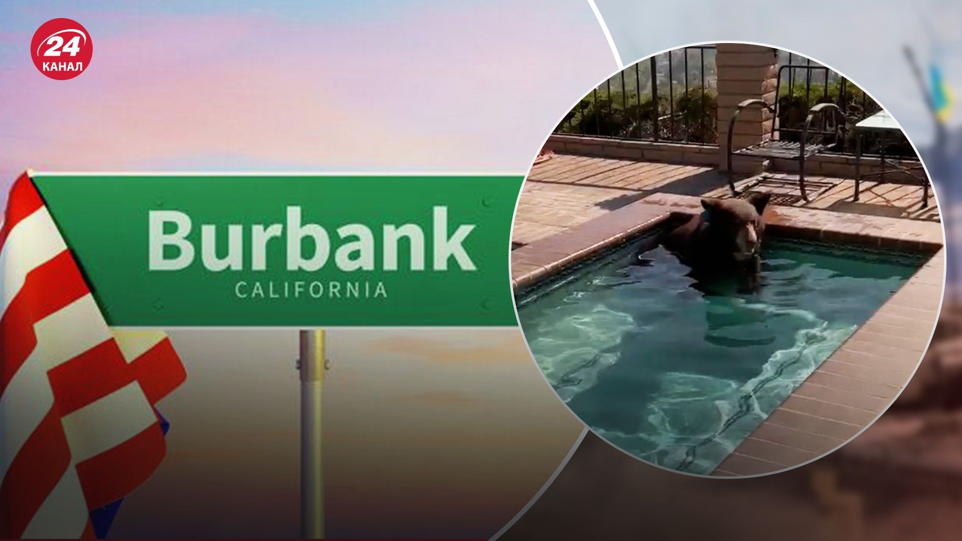 Ведмедя помітили у басейні в Бербанку, що у США Ведмедя помітили у басейні в Бербанку, що у США