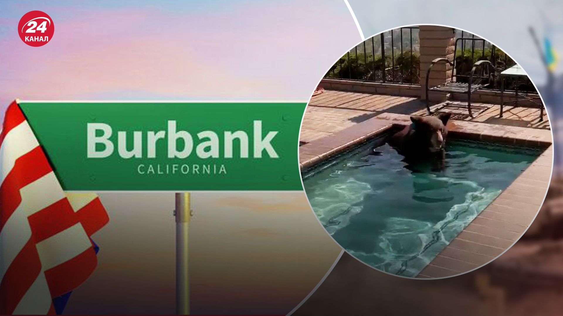 Медведя заметили в бассейне в Бербанке в США Медведя заметили в бассейне в Бербанке в США