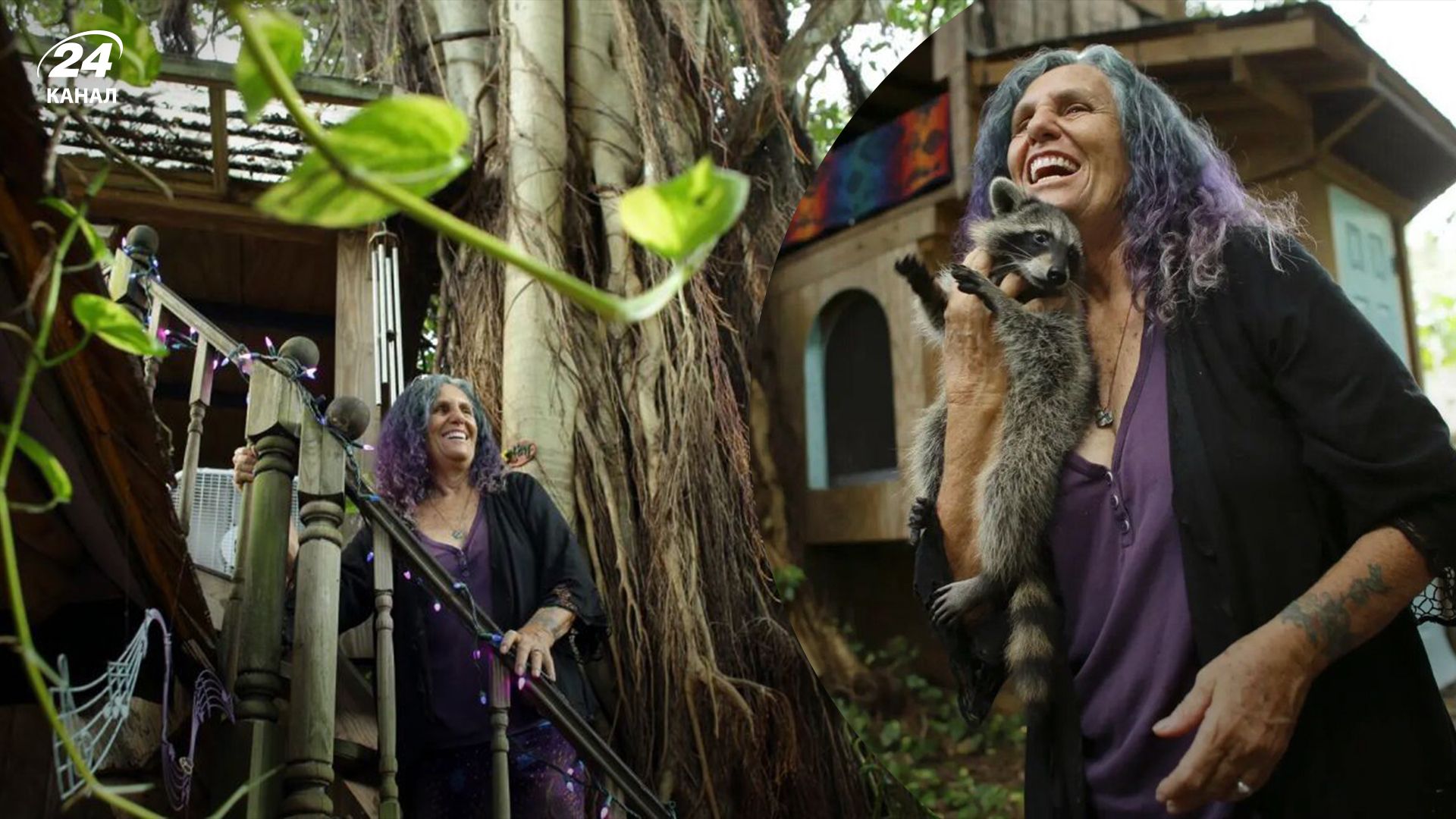 Женщина годами жила в домике на дереве - почему его сносят - Развлечения 24 Женщина годами жила в домике на дереве - почему его сносят - Развлечения 24