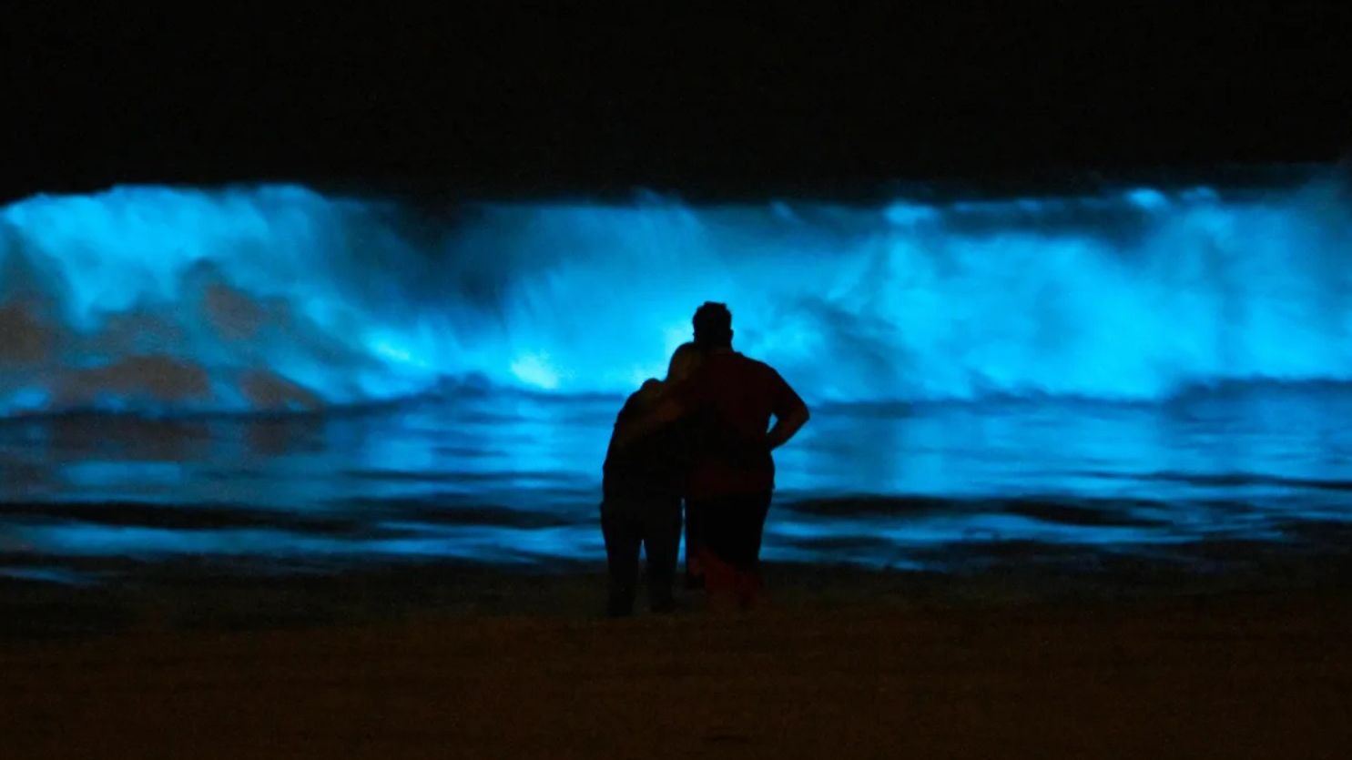 Біолюмінесцентні хвилі помітили у Каліфорнії – відео