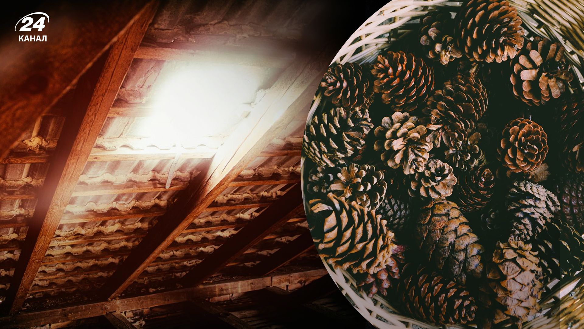 Чоловік знайшов у домі секретні місця на горищі й під сходами - Розваги 24 Чоловік знайшов у домі секретні місця на горищі й під сходами - Розваги 24