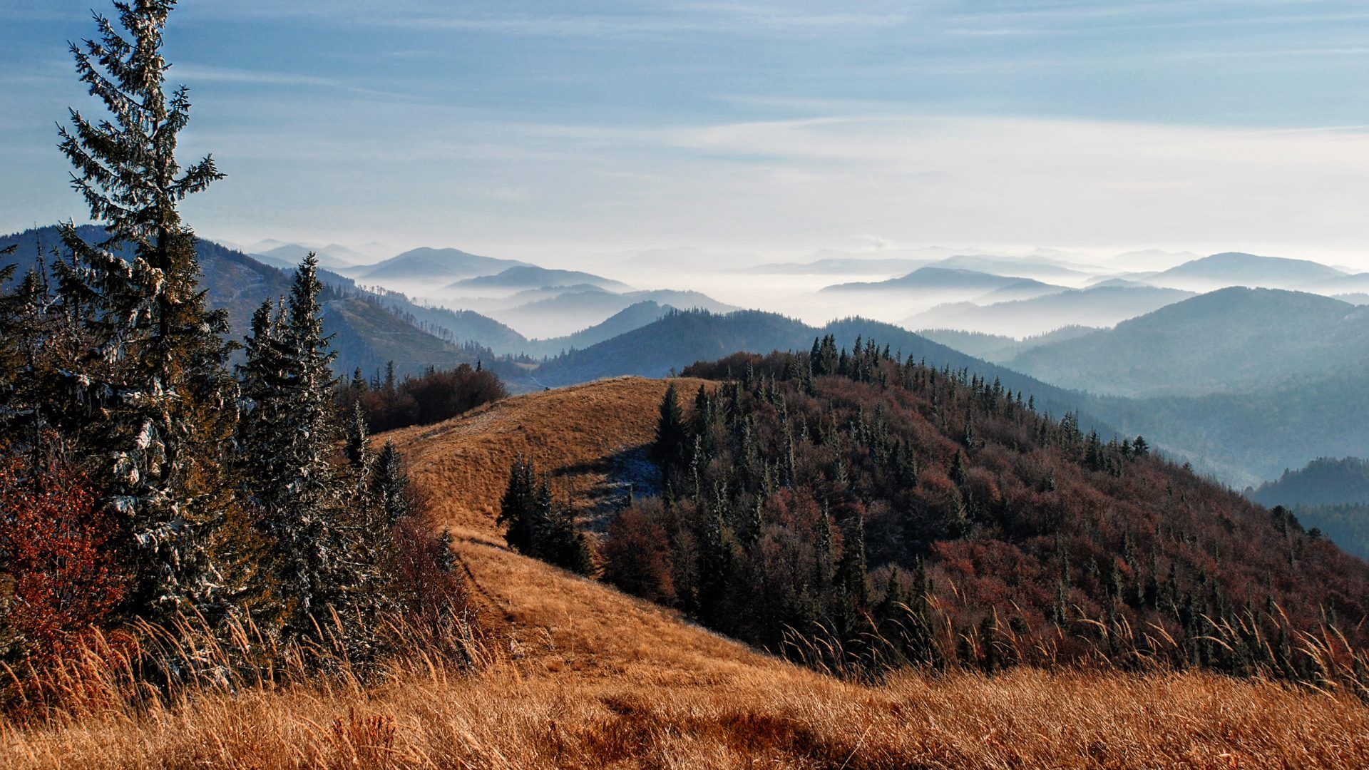 Самые красивые парки Львовщины – небанальная подборка, куда поехать осенью Самые красивые парки Львовщины – небанальная подборка, куда поехать осенью