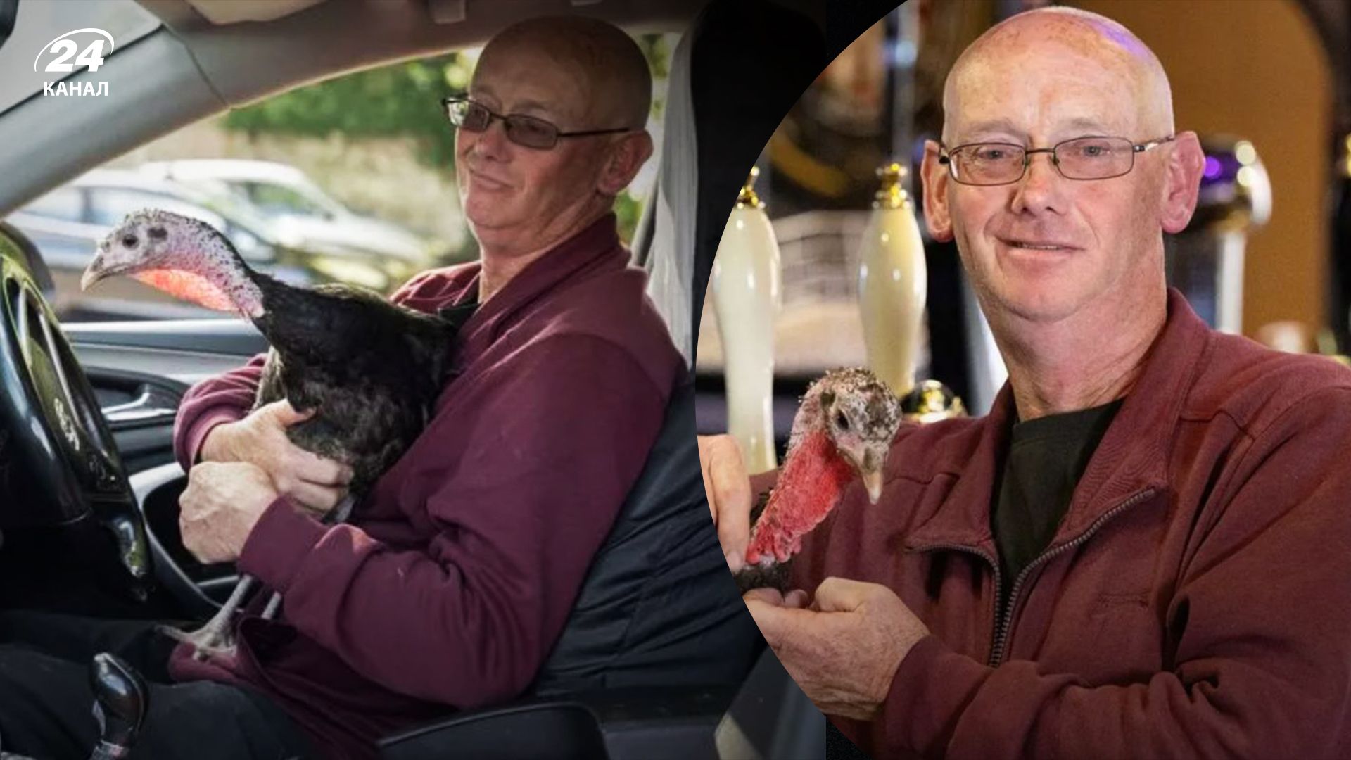Британец подружился с индейкой и берет ее повсюду с собой - Развлечения 24 Британец подружился с индейкой и берет ее повсюду с собой - Развлечения 24