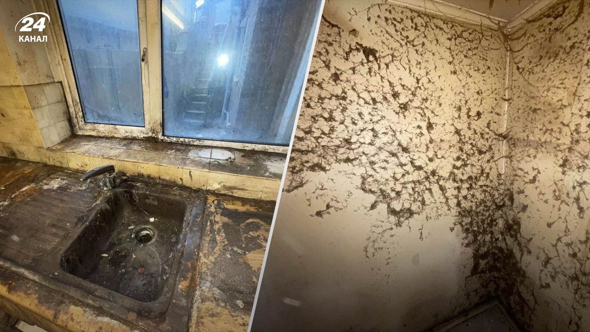 Який вигляд має дім, де не прибирали 20 років - фото - Розваги 24 Який вигляд має дім, де не прибирали 20 років - фото - Розваги 24