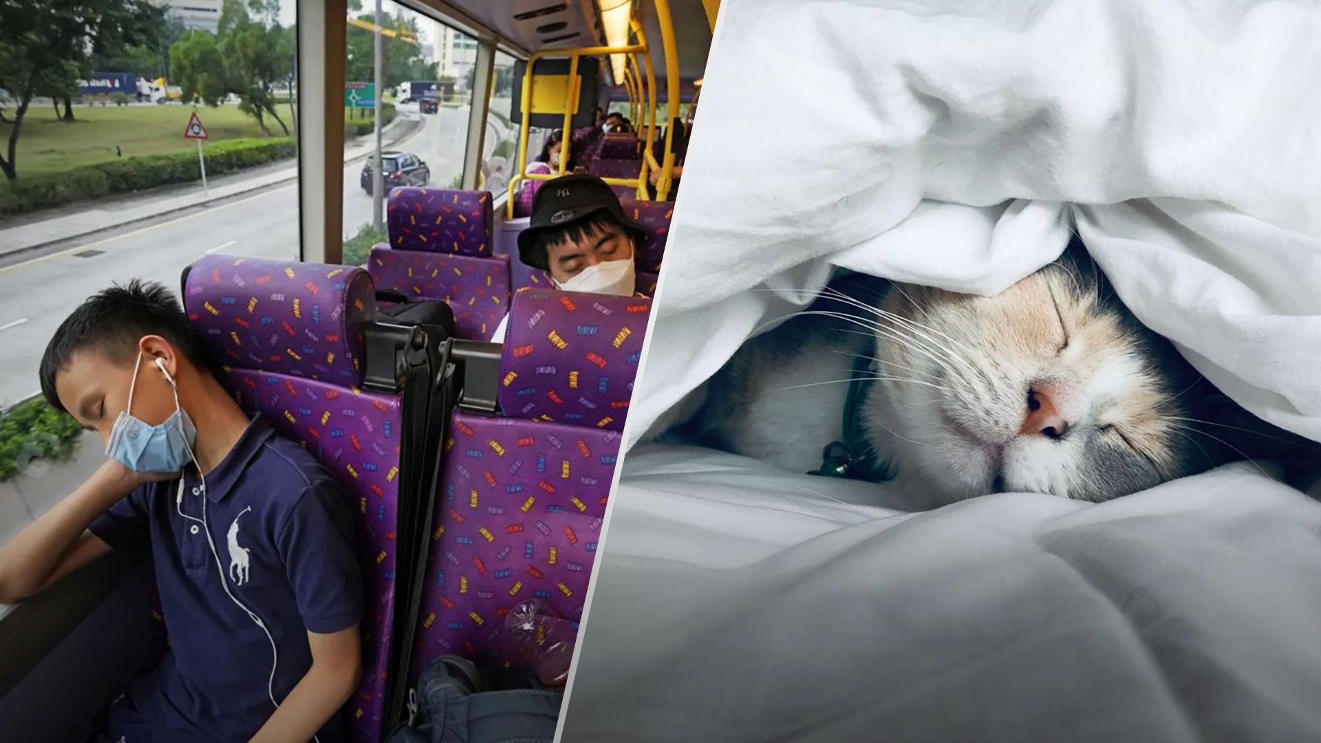 Спальный автобус запустили в Гонконге - как он работает, цена - Развлечения 24