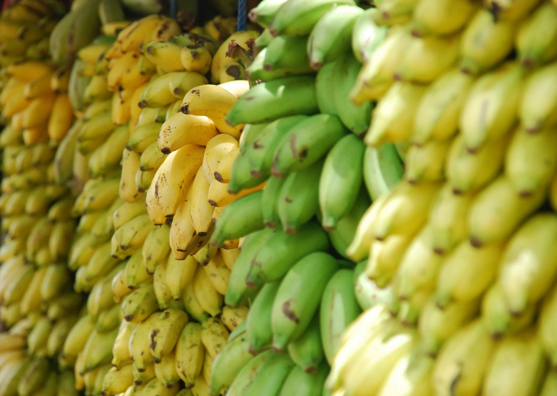 Жінка помітила на бананах білі цятки – що це та чому вони небезпечні