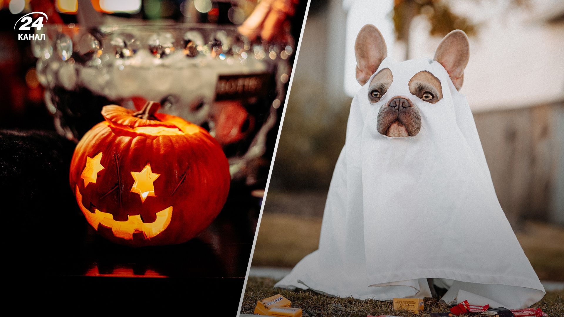 Хэллоуин -2023 в Украине – как устроить домашнюю вечеринку Хэллоуин -2023 в Украине – как устроить домашнюю вечеринку