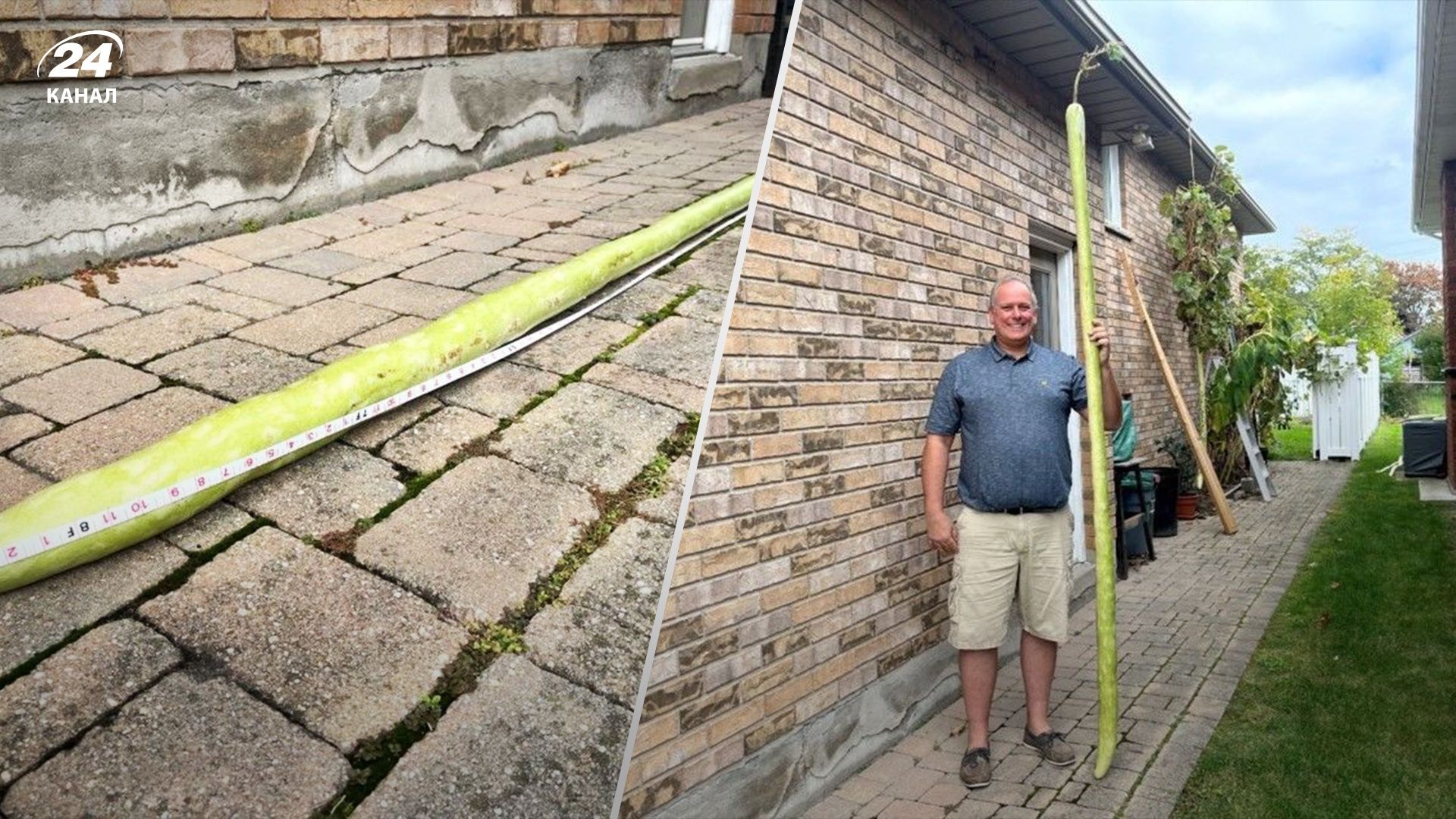 Канадец вырастил дольше всего в мире цуккини. Канадец вырастил дольше всего в мире цуккини.