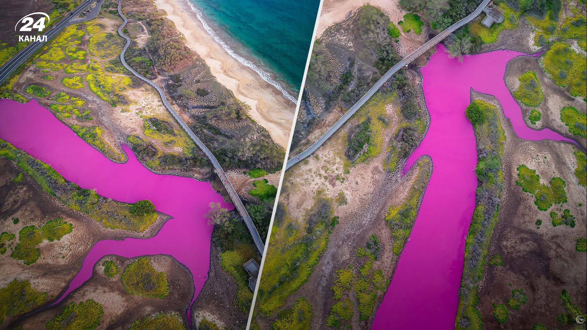 Ставок на Гаваях став рожевим – у чому причина Ставок на Гаваях став рожевим – у чому причина