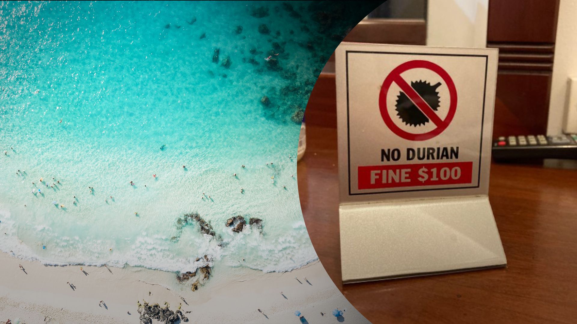 Туристів карають за вживання забороненого фрукту – доріан заборонили в Азії Туристів карають за вживання забороненого фрукту – доріан заборонили в Азії