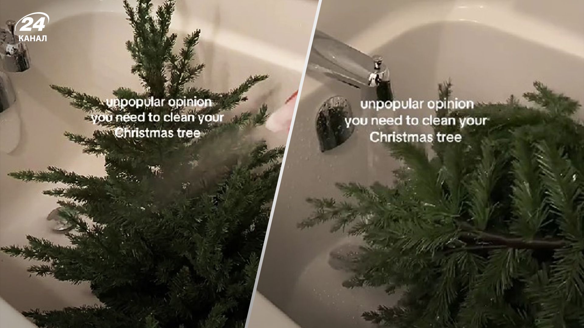 Жінка помила ялинку і отримала гнівні коментарі у мережі Жінка помила ялинку і отримала гнівні коментарі у мережі