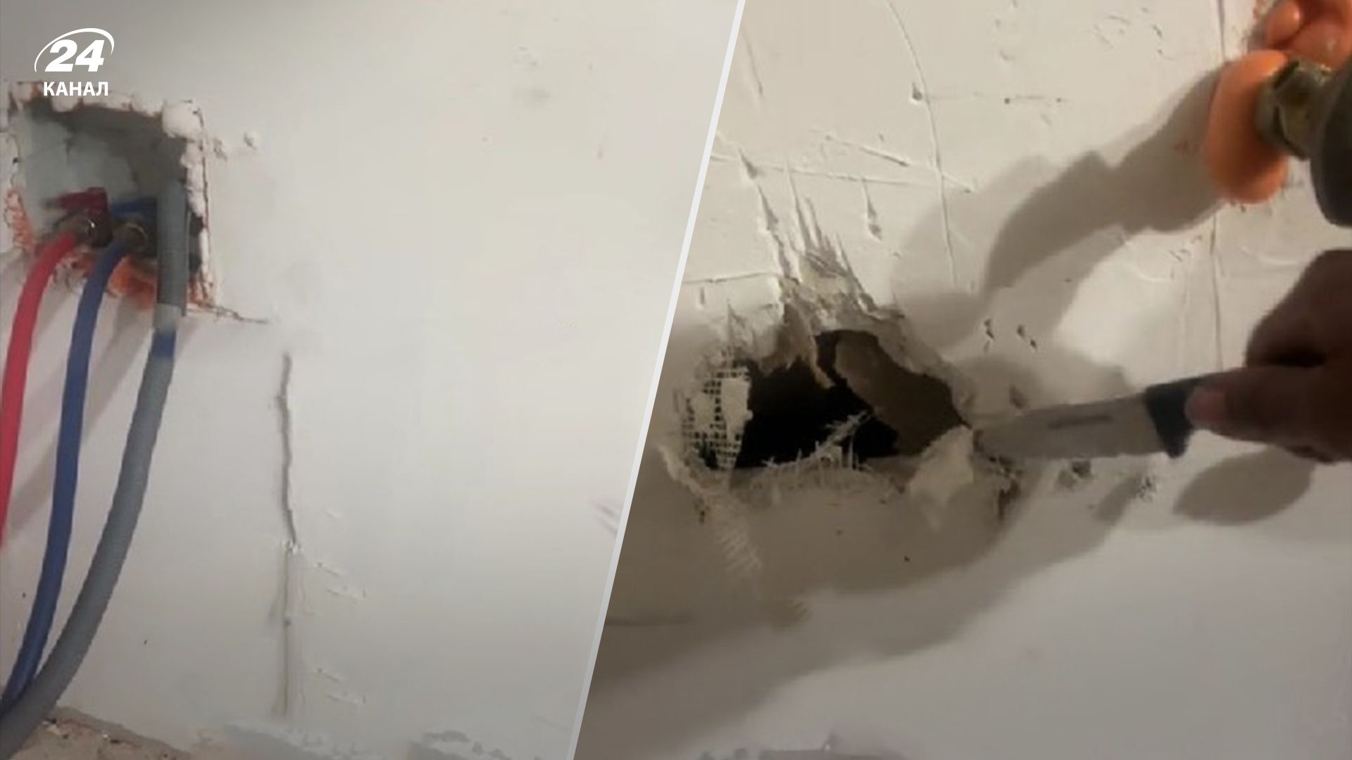 Жінка почула дивні звуки за новозбудованою стіною - що там було Жінка почула дивні звуки за новозбудованою стіною - що там було