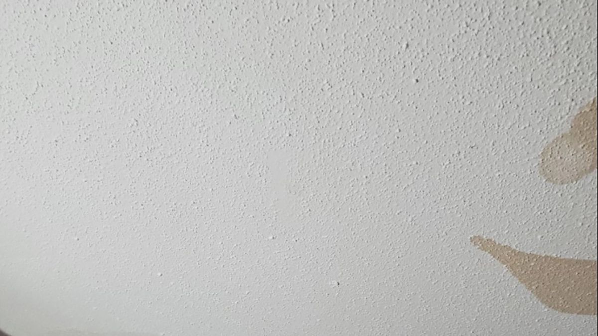Женщина обнаружила шокирующее происхождение пятен на потолке