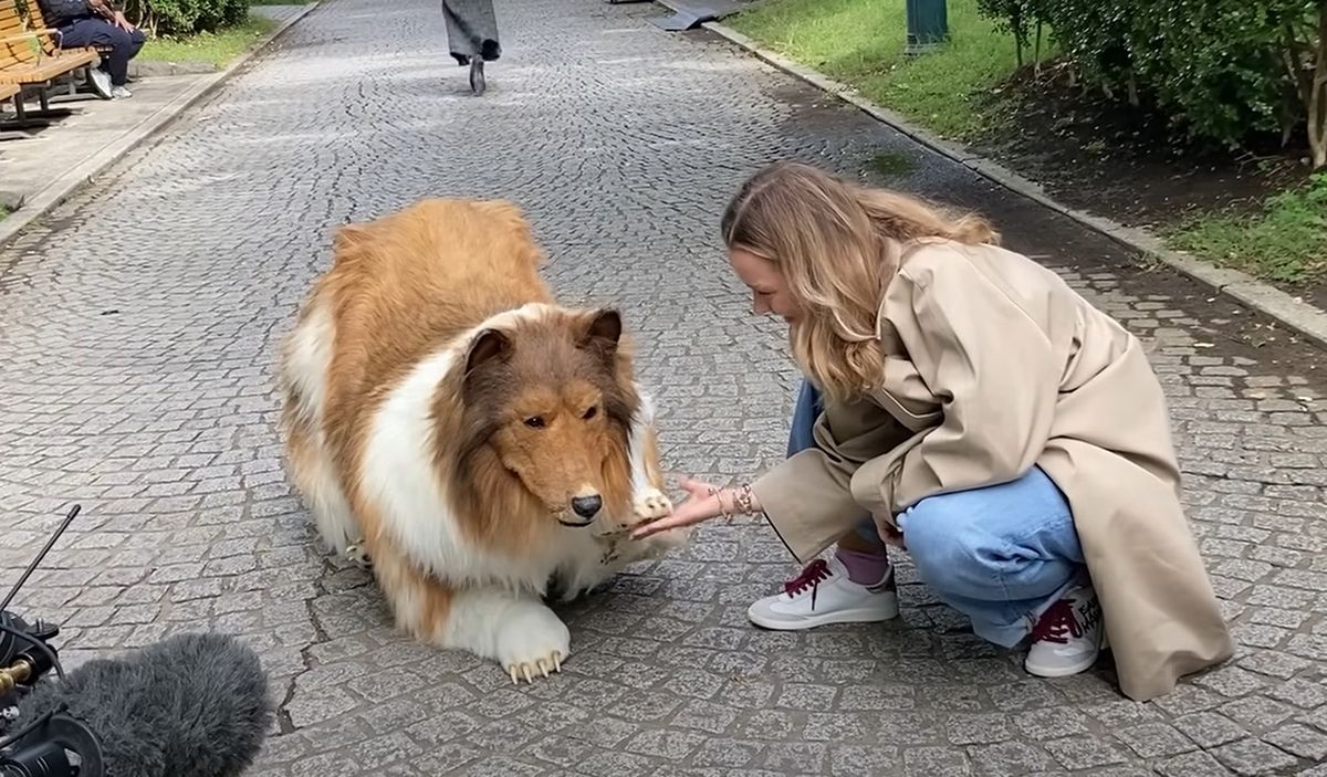 Блогер перетворився на собаку, але тепер хоче змінити образ Блогер перетворився на собаку, але тепер хоче змінити образ