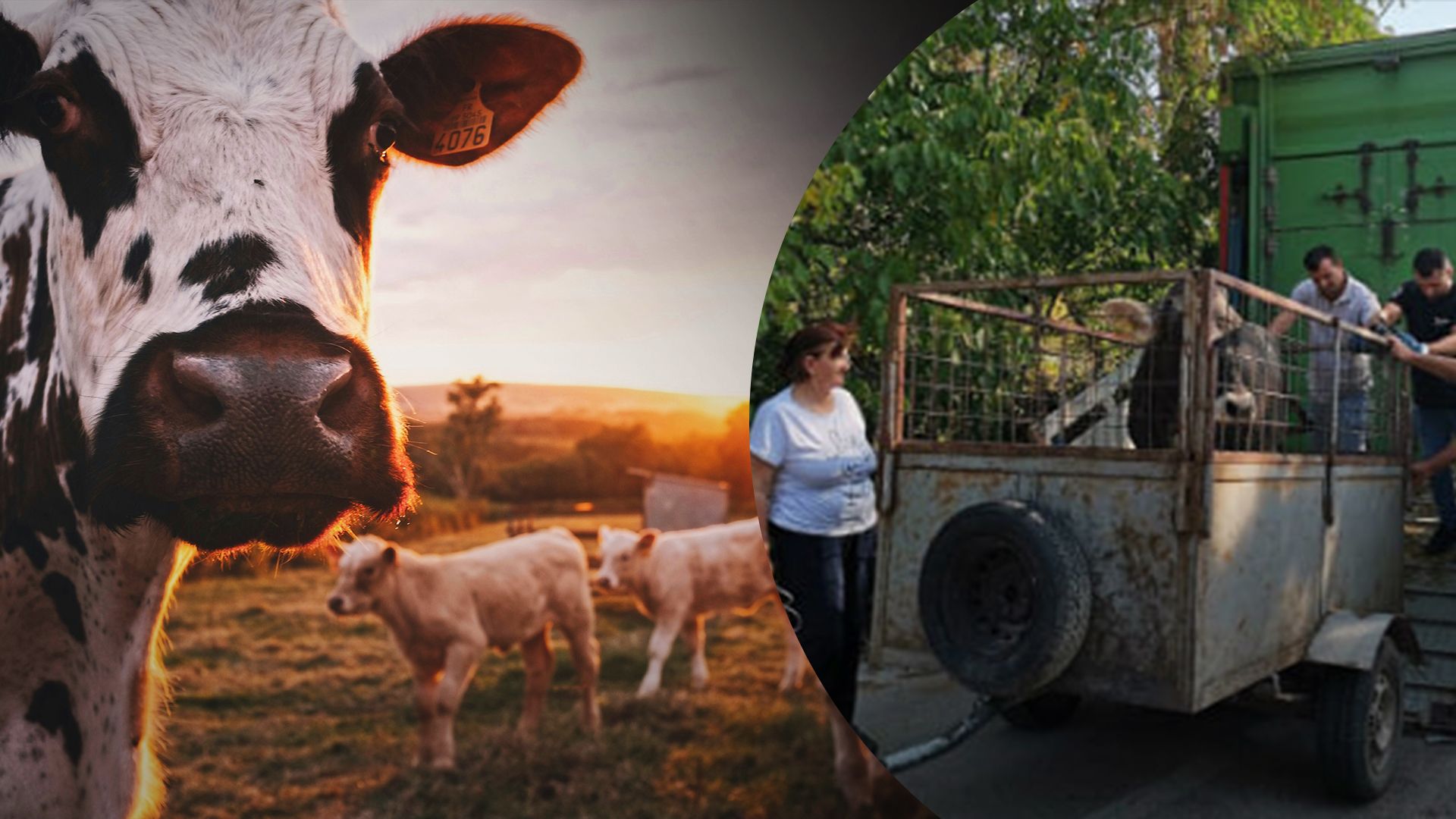 Необычные методы предвыборной агитации зафиксировали в Боснии и Герцеговине Необычные методы предвыборной агитации зафиксировали в Боснии и Герцеговине