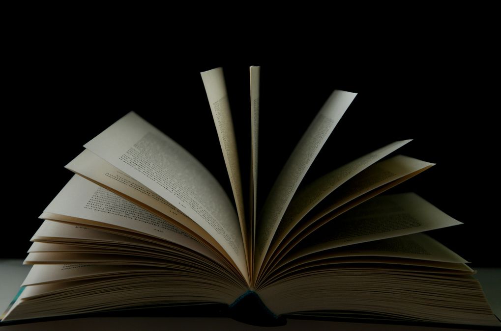 Книжный фон