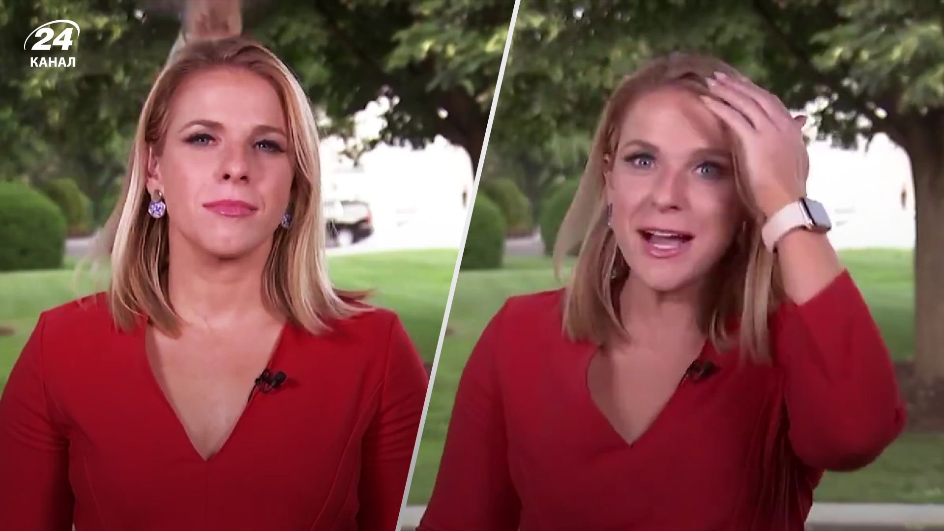 Птица приземлилась на голову репортера в прямом эфире Птица приземлилась на голову репортера в прямом эфире