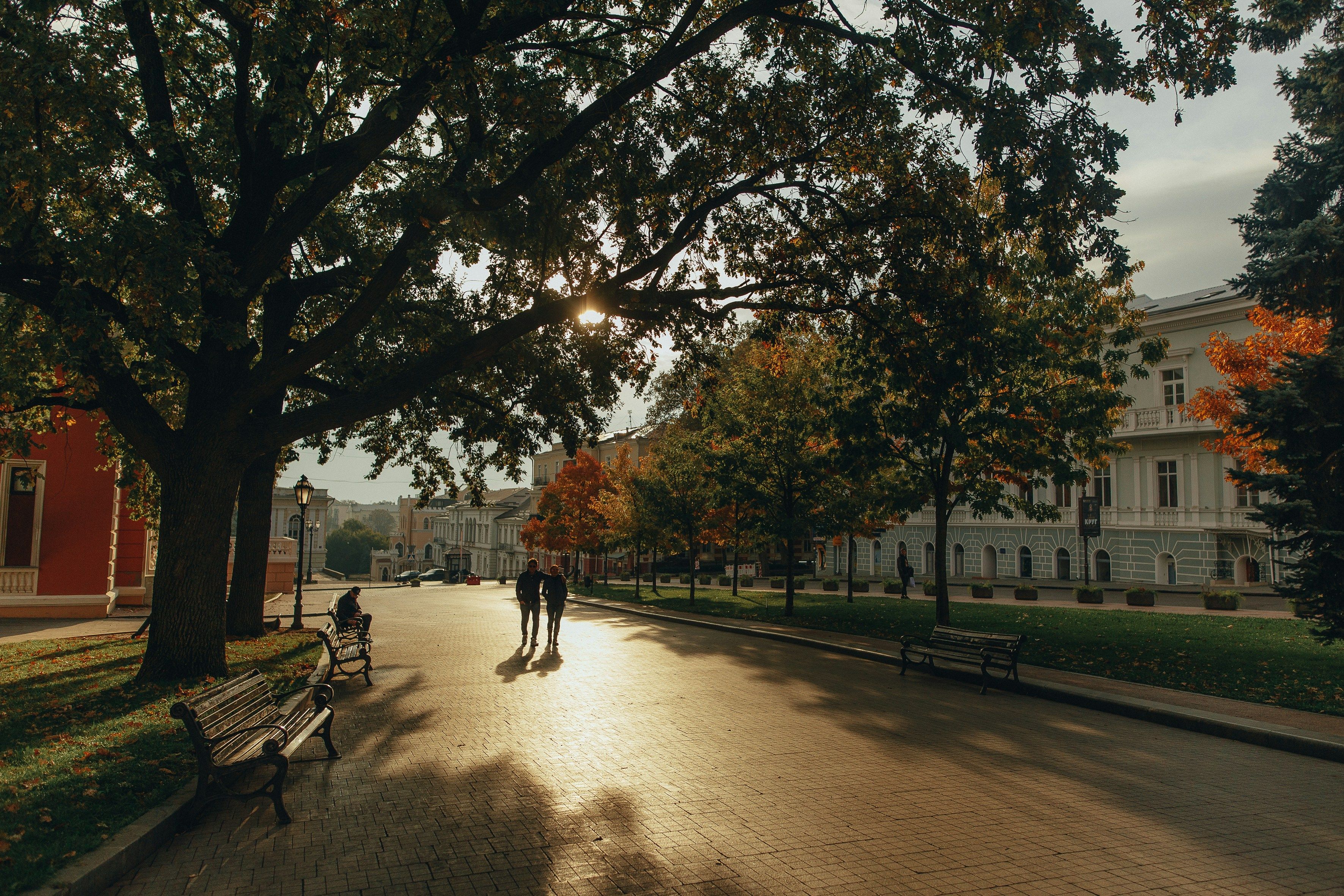 Парки Одессы для семейных прогулок –интересная подборка Парки Одессы для семейных прогулок –интересная подборка