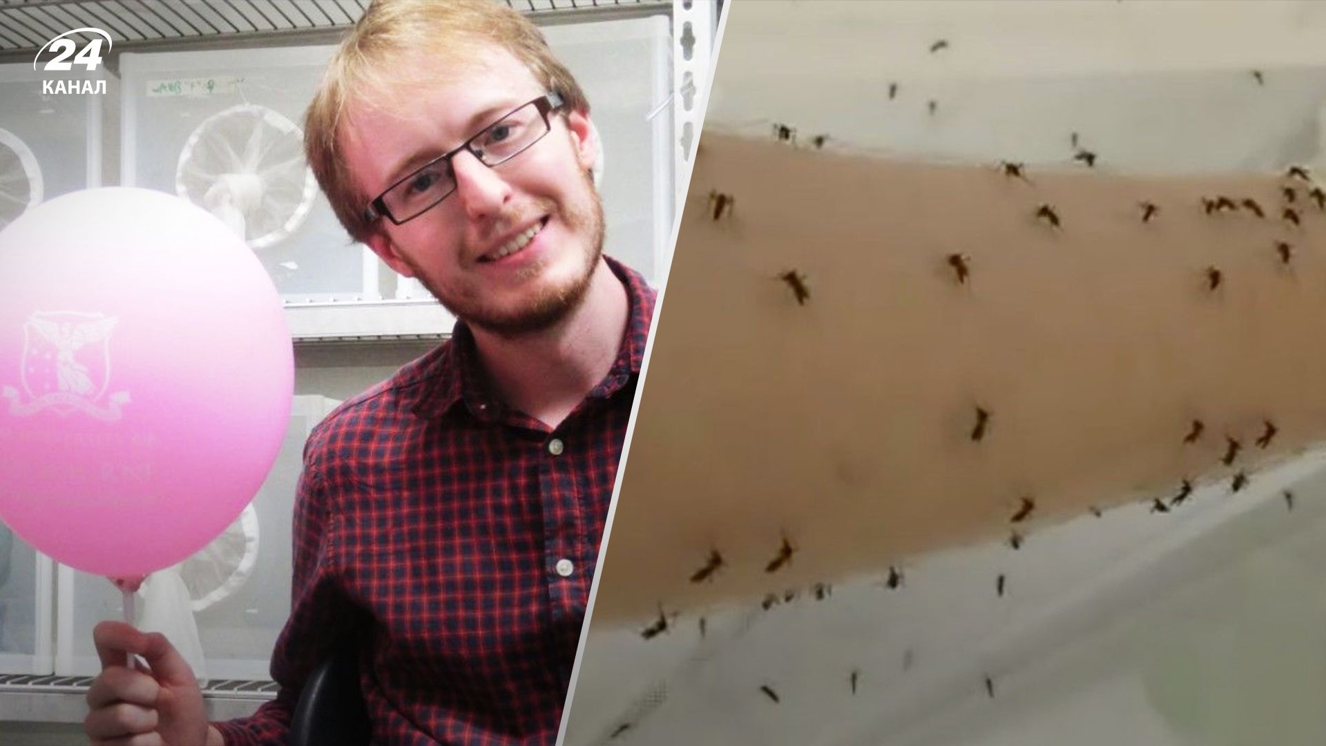 Ученый ежедневно терпит укусы комаров ради исследований
