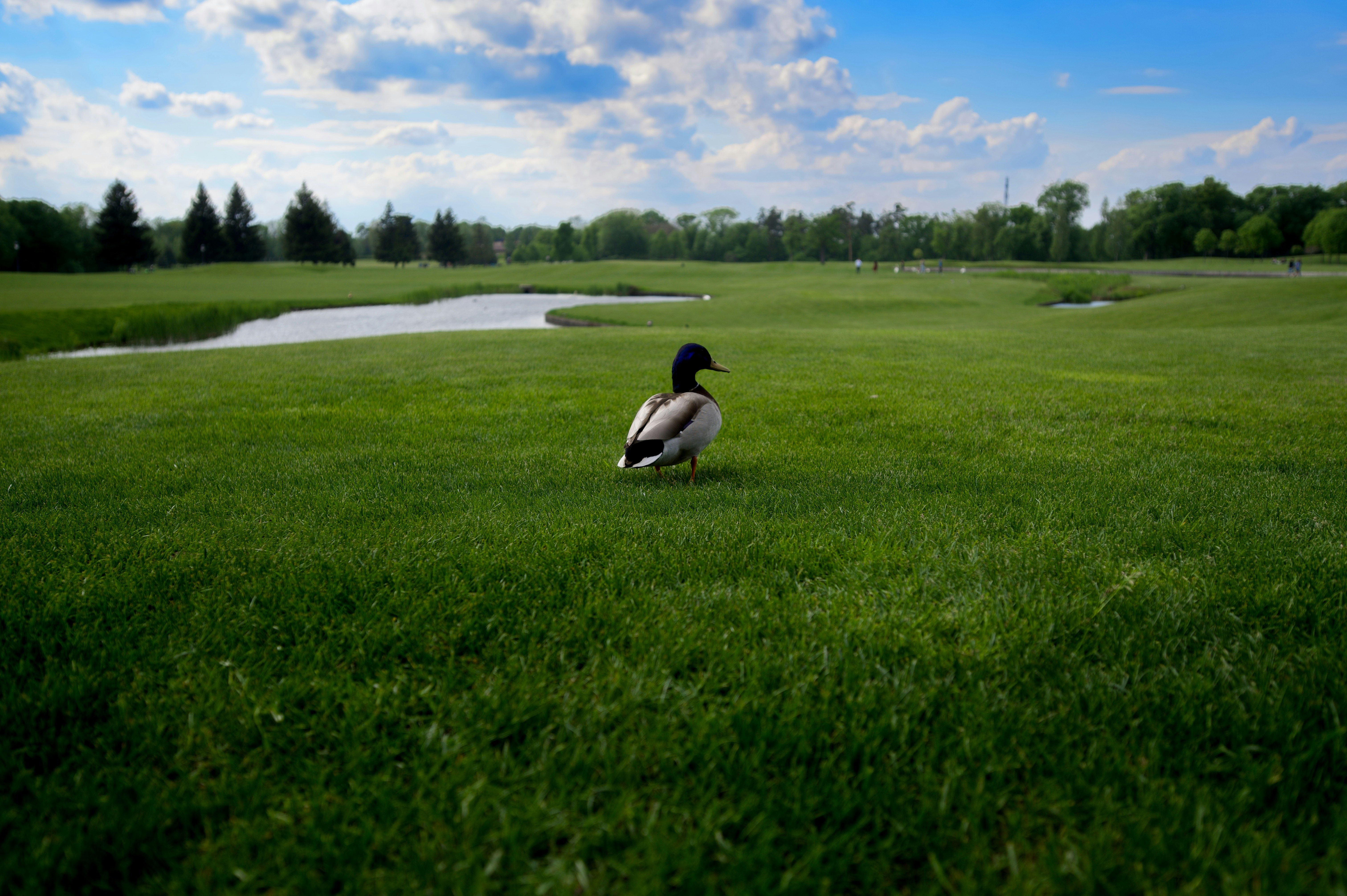 Затишні місця для відпочинку під Києвом - куди вирушити на вихідні Затишні місця для відпочинку під Києвом - куди вирушити на вихідні