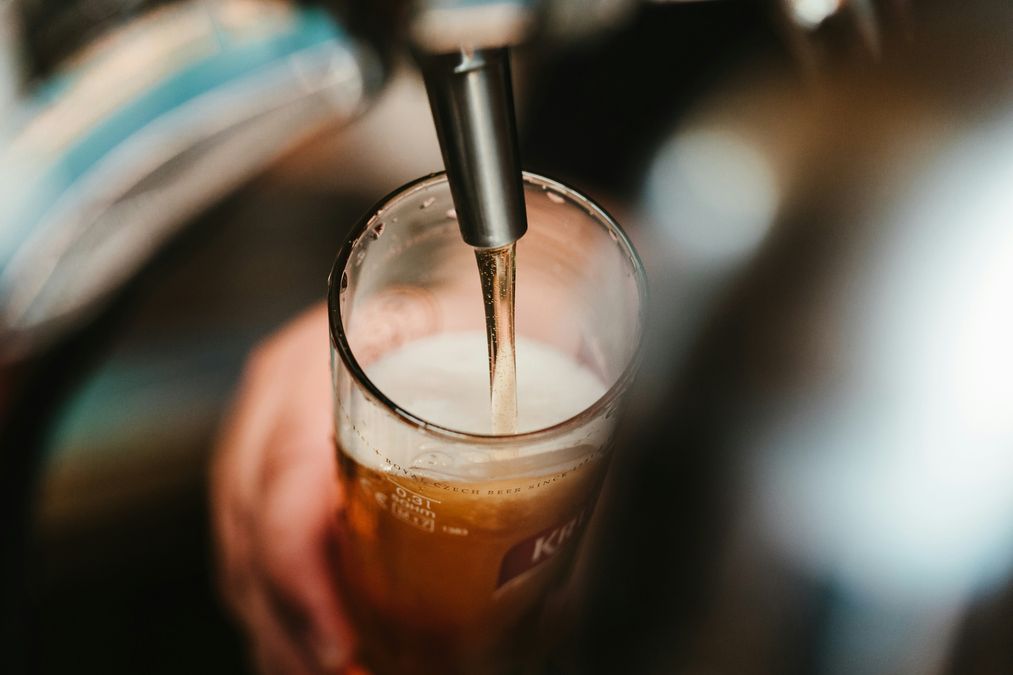 Code solved: Scientists invented an exotic yeast that will create a new taste in beer