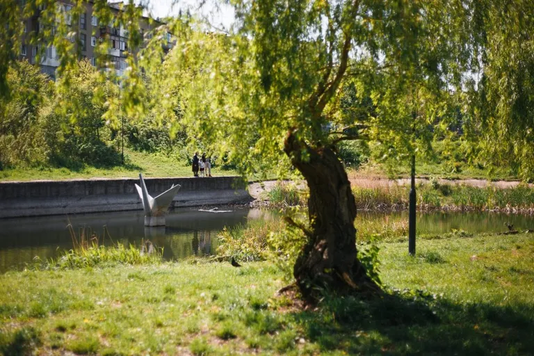 Озеро поблизу школи-ліцею №21 Озеро поблизу школи-ліцею №21