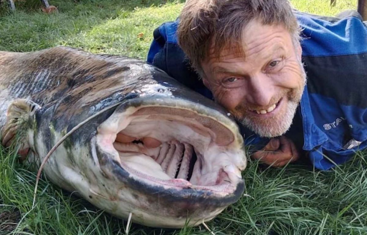 У Чехії рибалки спіймали рекордно великих сома та окуня У Чехії рибалки спіймали рекордно великих сома та окуня
