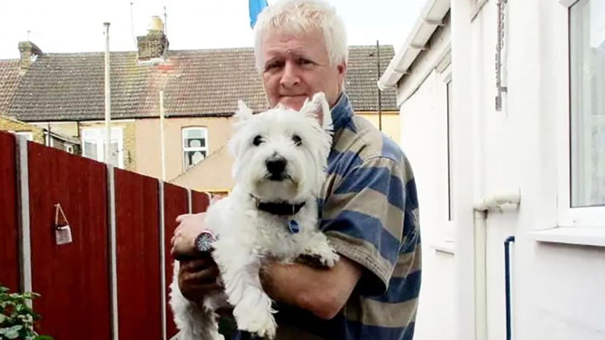 Собака з'їв канабіс і почав дивно поводитися - чим все закінчилося Собака з'їв канабіс і почав дивно поводитися - чим все закінчилося