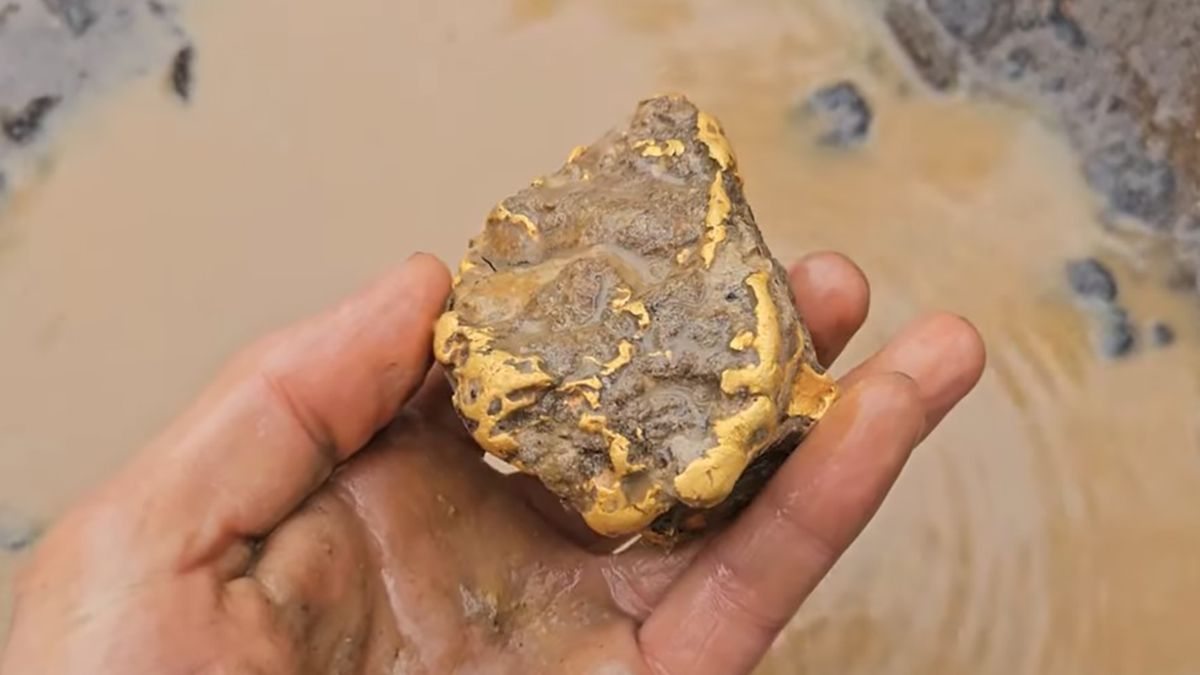 Австралийский нашел золотой слиток - как это изменило его жизнь Австралийский нашел золотой слиток - как это изменило его жизнь