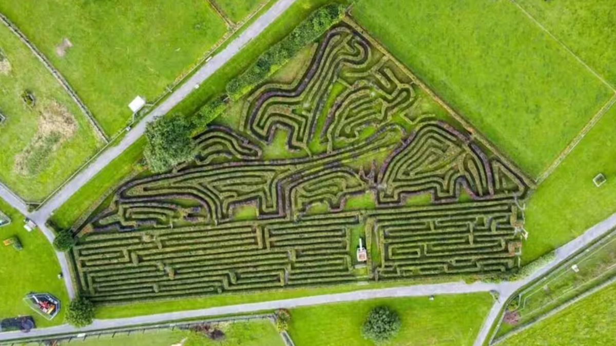 В Британии показали один из самых длинных лабиринтов в стране В Британии показали один из самых длинных лабиринтов в стране